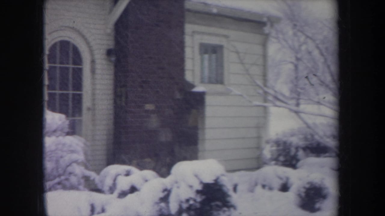 Brick chimney and arched window beside snow-covered shrubs at a house exterior.
