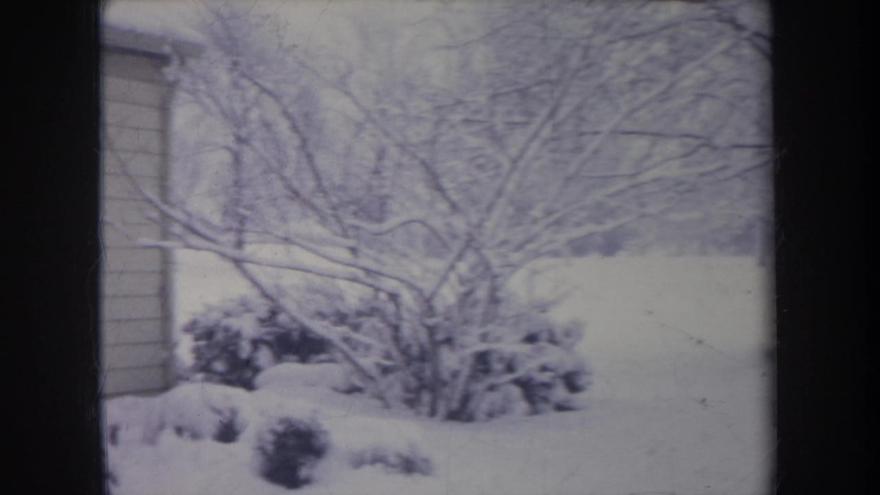 1968 Michigan 8mm frame showing a snow-blanketed yard, bare branches, and shrubs near the edge of a house.