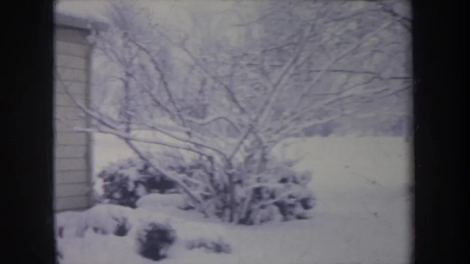 1968 Michigan 8mm frame showing a snow-blanketed yard, bare branches, and shrubs near the edge of a house.