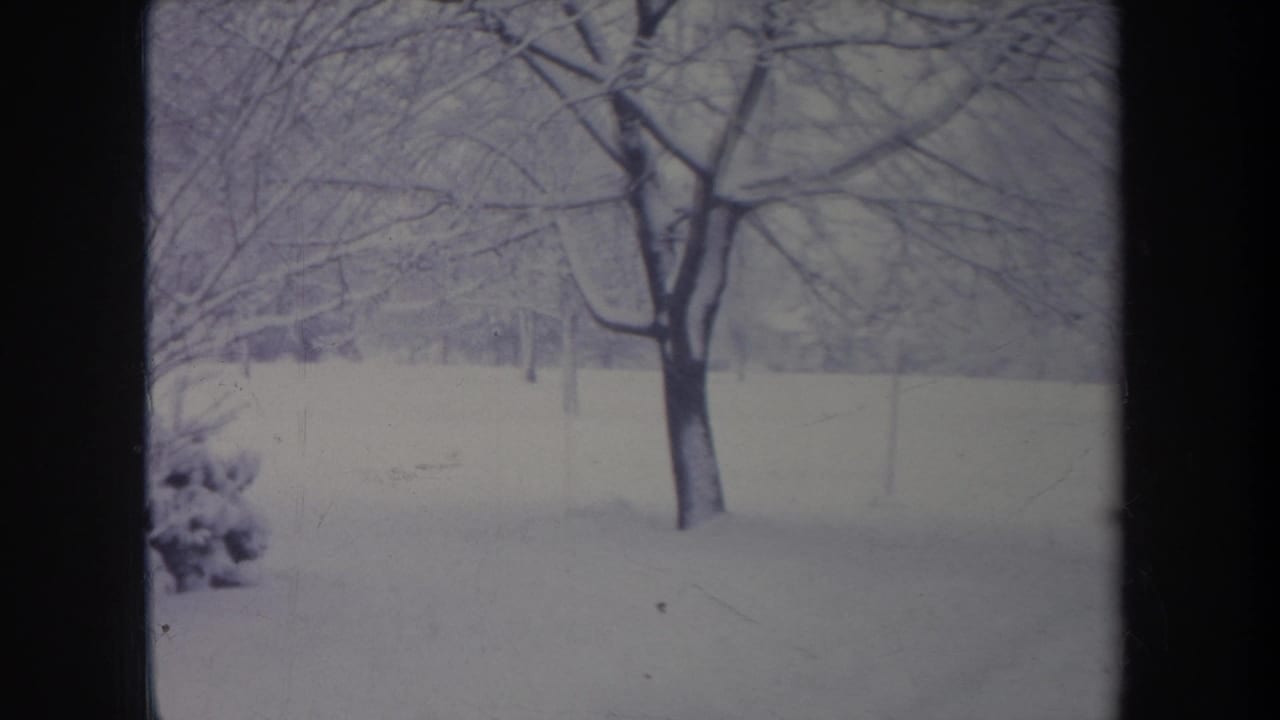 1968 Michigan winter home-movie frame of a bare tree in a snow-covered yard, with more trees fading in the background.