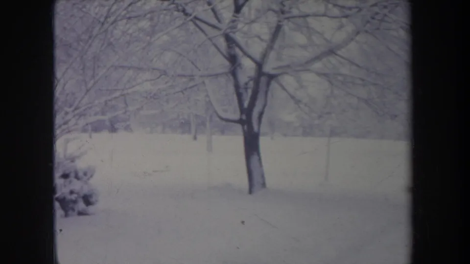 1968 Michigan winter home-movie frame of a bare tree in a snow-covered yard, with more trees fading in the background.