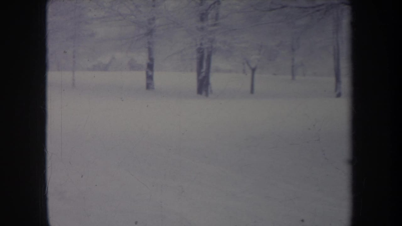 1968 Michigan 8mm frame of a flat snowy landscape with several bare trees, soft focus, and visible aged-film texture.