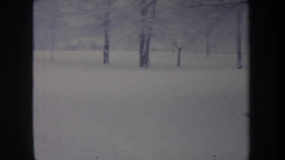 1968 Michigan 8mm frame of a flat snowy landscape with several bare trees, soft focus, and visible aged-film texture.