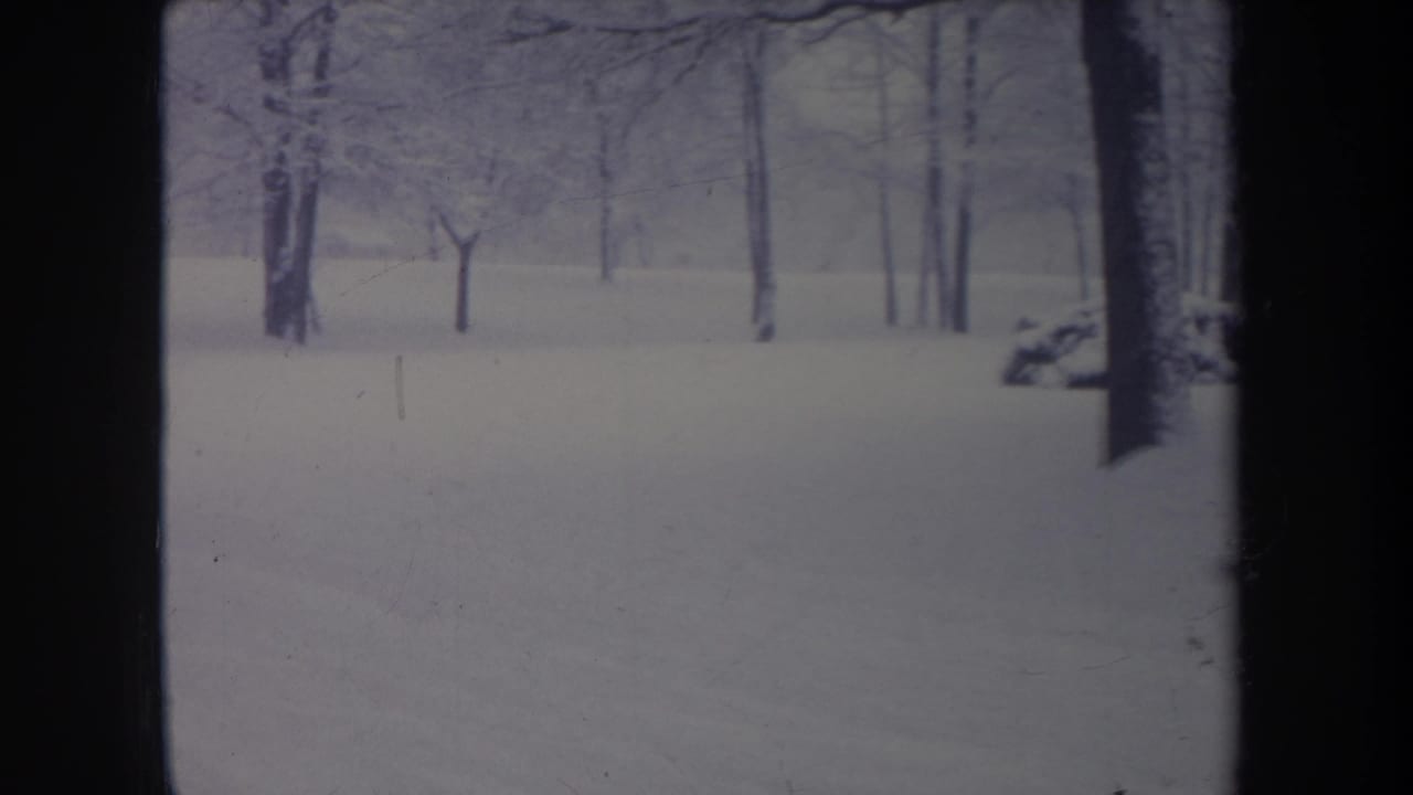 1968 Michigan winter home-movie frame showing snow-covered ground, scattered bare trees, and a dark foreground trunk near the right edge.