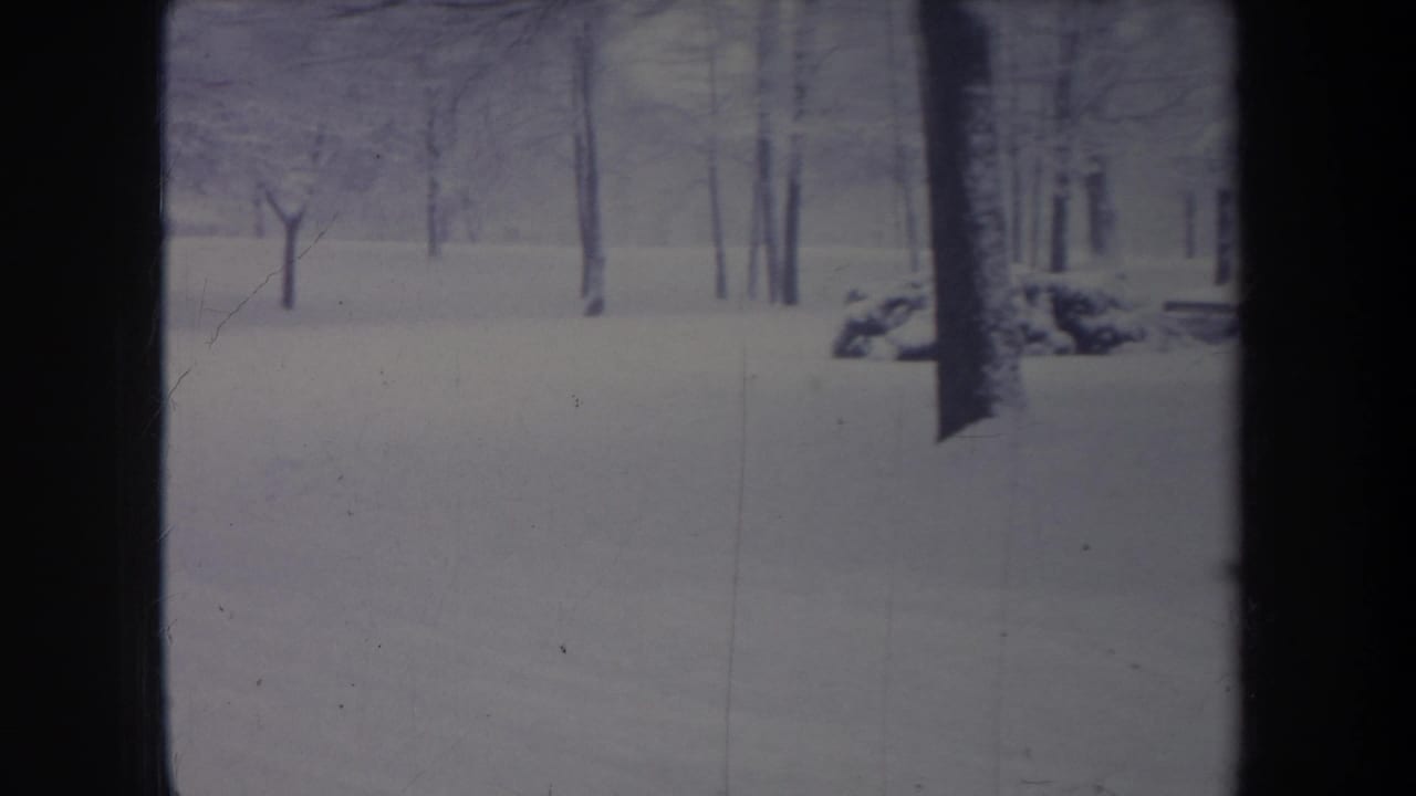 1968 Michigan 8mm frame showing snow blanketing a quiet wooded area with bare trees and dark vertical trunks.