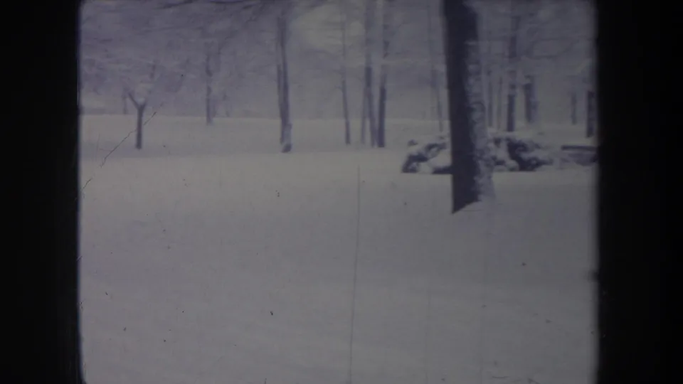 1968 Michigan 8mm frame showing snow blanketing a quiet wooded area with bare trees and dark vertical trunks.