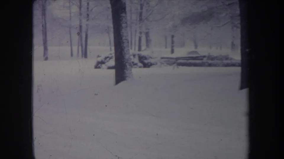 1968 Michigan 8mm frame with a snow-covered wooded view, bare trees, and low dark branches or logs near the background.
