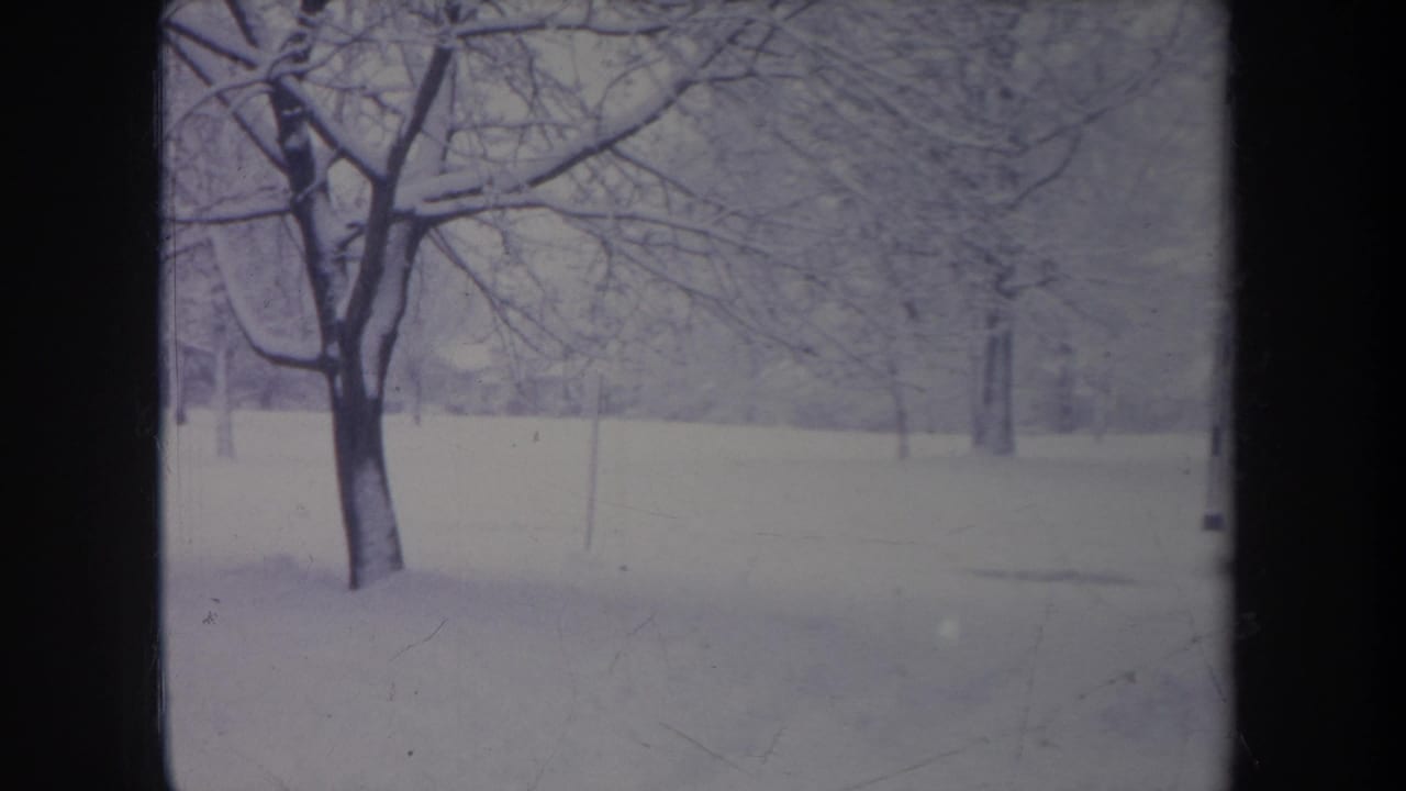 1968 Michigan 8mm frame showing a bare tree in a quiet snow-covered open area with winter trees beyond.