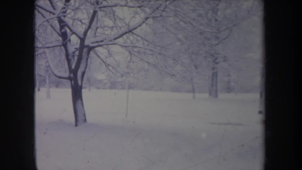 1968 Michigan 8mm frame showing a bare tree in a quiet snow-covered open area with winter trees beyond.