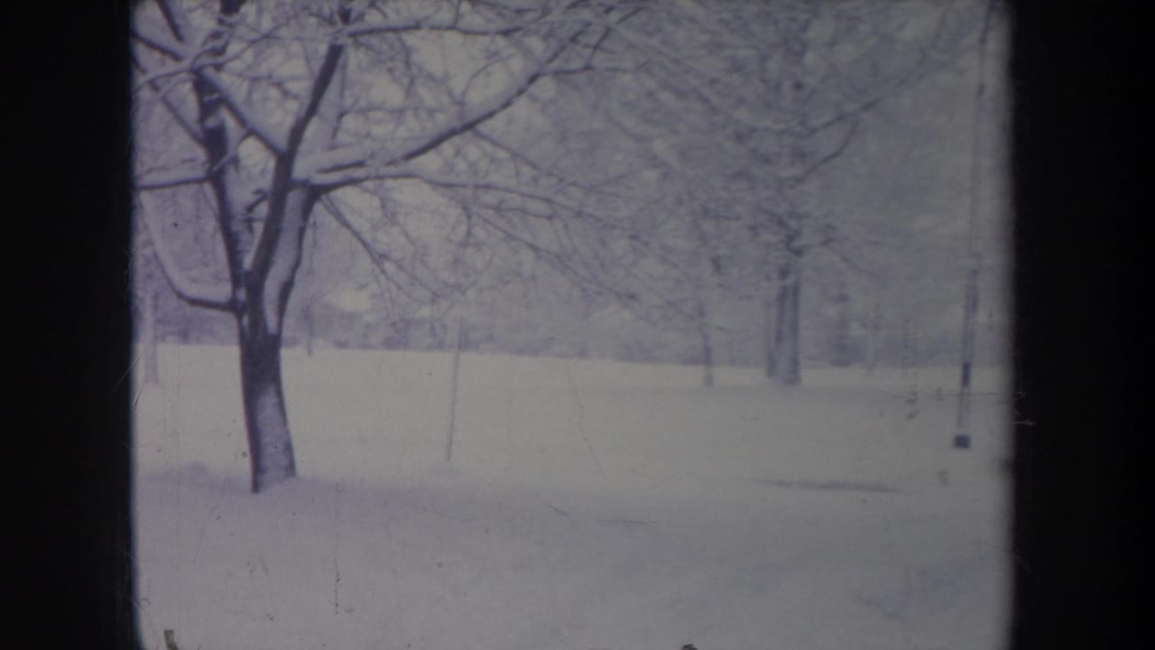 1968 Michigan 8mm frame showing a quiet snowy field, leafless trees, and soft blue-purple winter light.