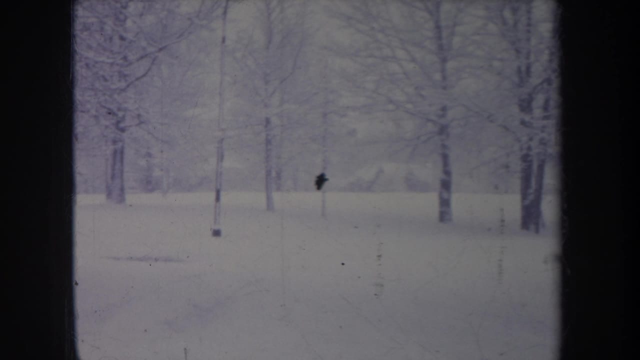 1968 Michigan 8mm frame of a quiet snow-covered tree line with bare branches, a thin pole, and visible film marks.