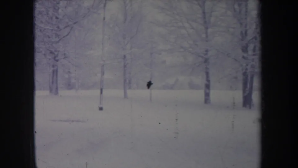 1968 Michigan 8mm frame of a quiet snow-covered tree line with bare branches, a thin pole, and visible film marks.