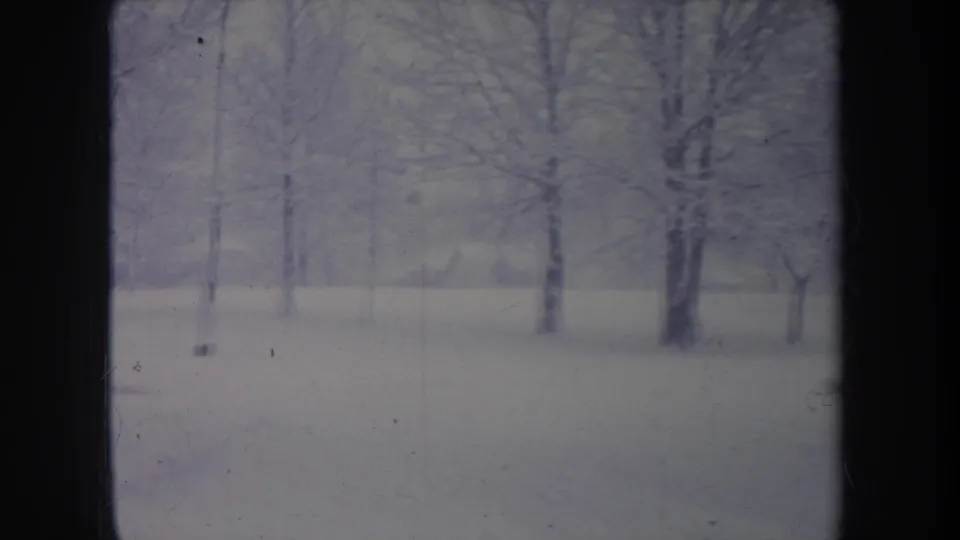 1968 Michigan home-movie frame showing a snowy field and bare winter trees viewed through a dark window division.