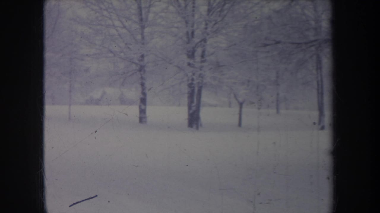 Snowy Michigan winter landscape with bare trees and a dark interior or window frame dividing the 8mm view.