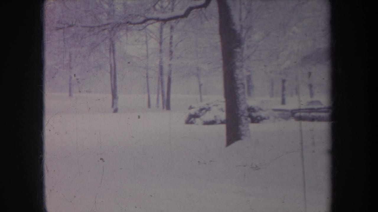 Snowy yard with bare trees and a low mound of snow near the right side.