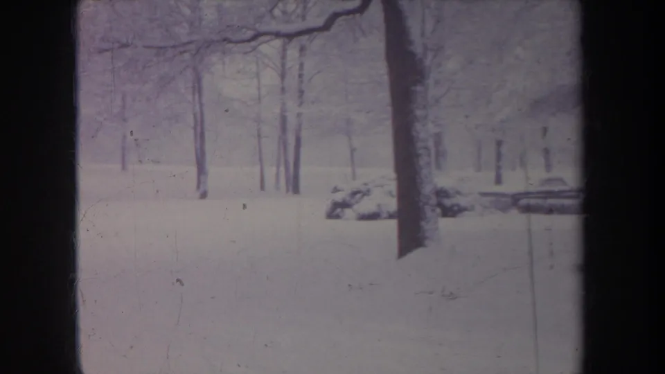 Michigan 1968 winter yard view with bare trees, snow-covered ground, and a low snow mound near the right side.