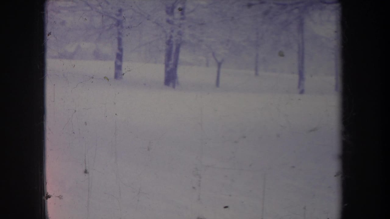 Faded 8mm view of a Michigan winter yard in 1968, showing open snow, bare trees, and handheld framing.