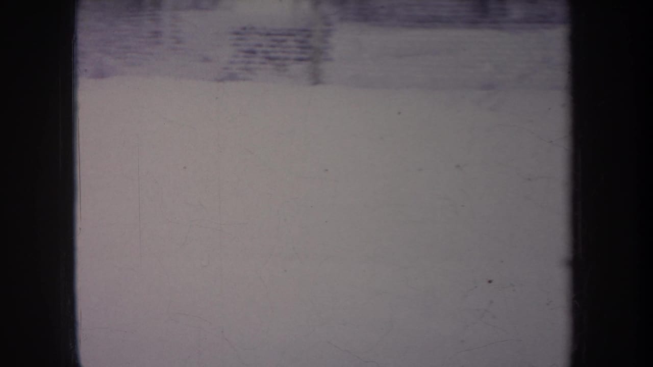 Pale snowy yard with fence and dark vertical foreground bars.