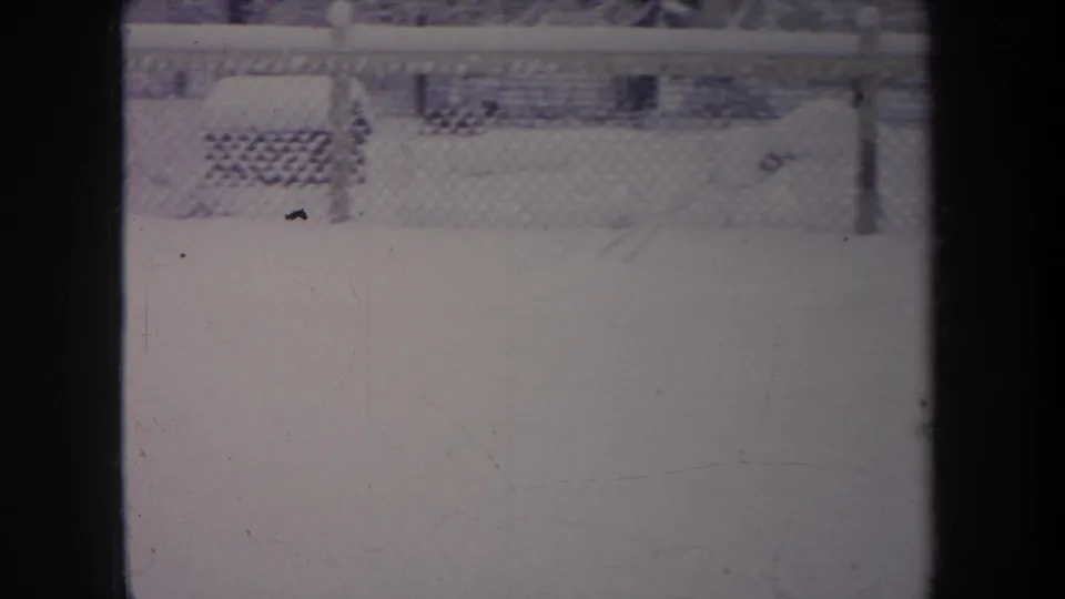 1968 Michigan frame showing a small dog crossing snow near a chain-link fence in a residential backyard.