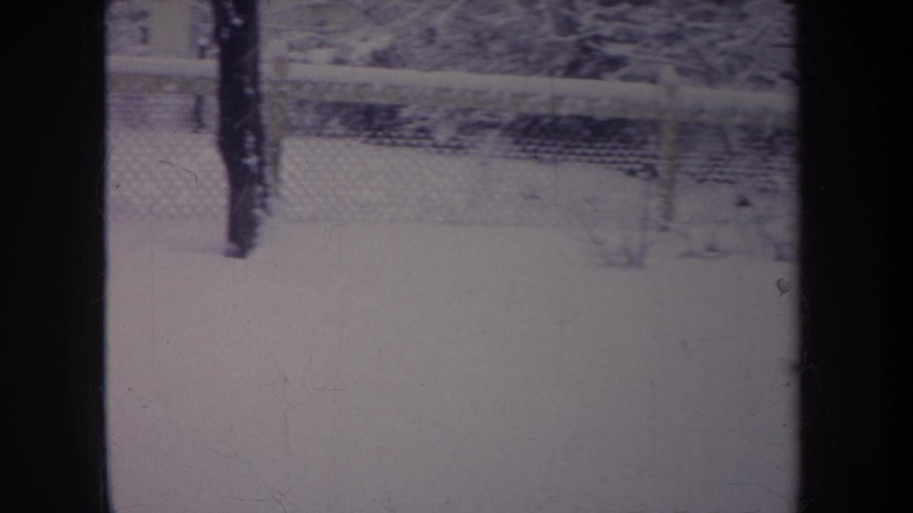 Snowy yard seen through dark vertical frame bars with a fence and winter trees in the background.