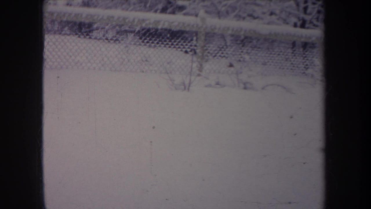 Snowy fenced yard with a dark vertical bar dividing the frame and faint shrubs near the fence.