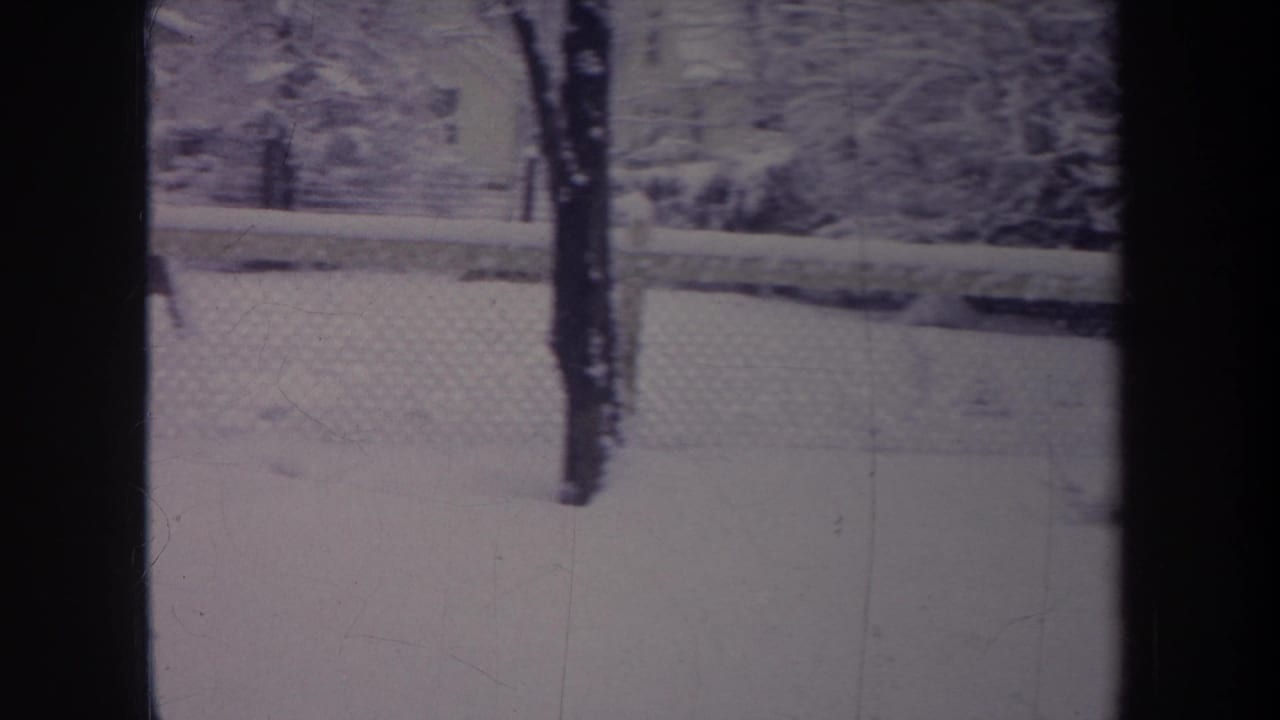 Snowy yard behind a window pane with a fence line and bare tree trunks.
