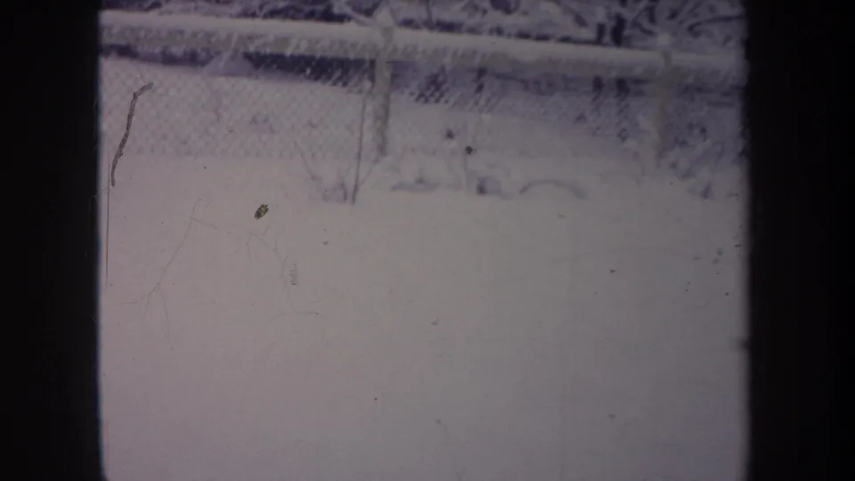1968 Michigan 8mm still of a snowy backyard through the lower window pane, with chain-link fence, low shrubs, and visible film wear.