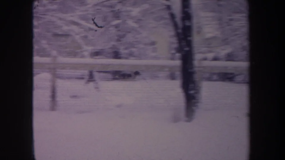 1968 Michigan frame showing a quiet snow-covered yard, bare trees, a fence line, and dark interior window framing in faded 8mm color.