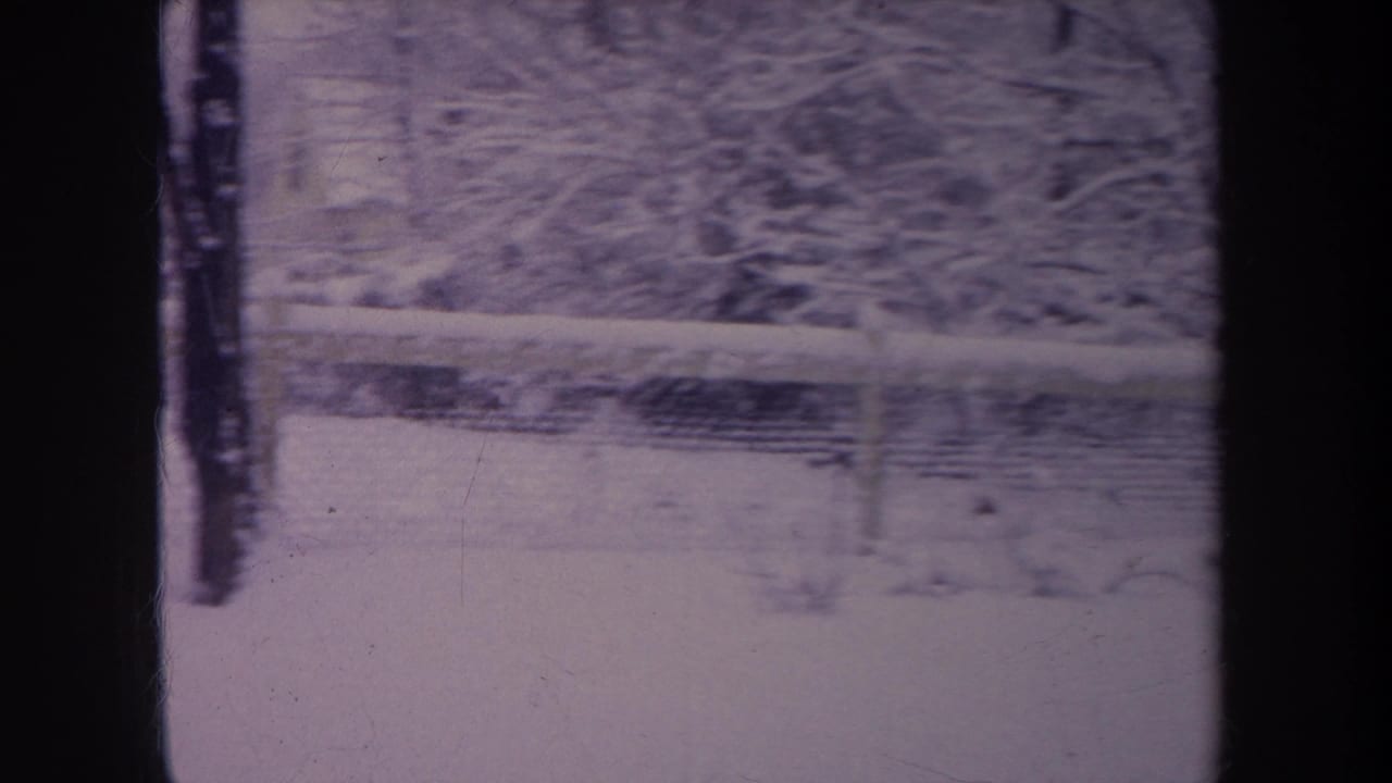 Snowy backyard seen through dark vertical frame bars with fence and bare trees.