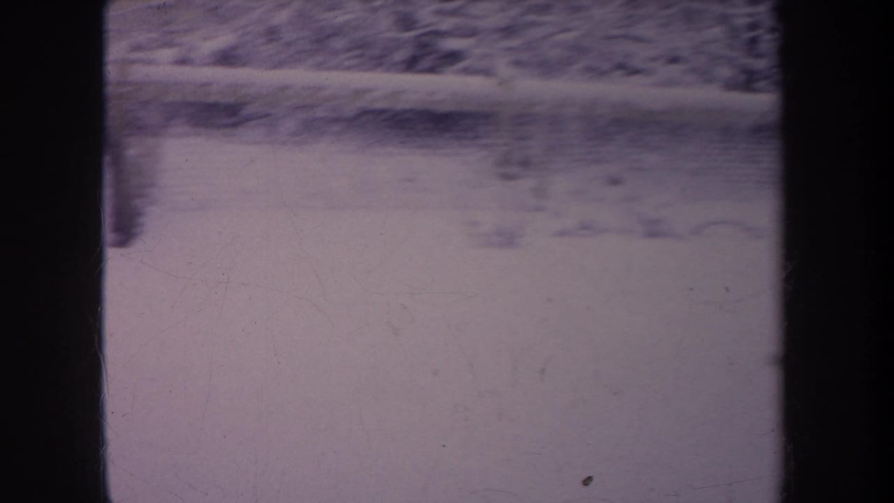 Snow-filled yard with fence and trees, partly obscured by dark vertical bars.