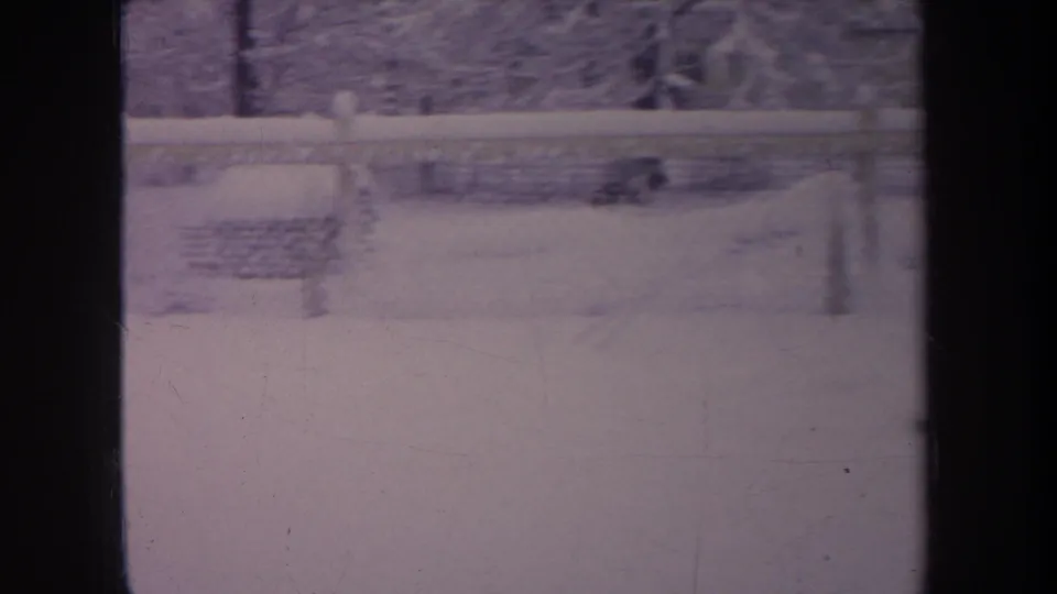 1968 Michigan home-movie frame showing a small dark dog in a snowy backyard beside a chain-link fence and winter trees.