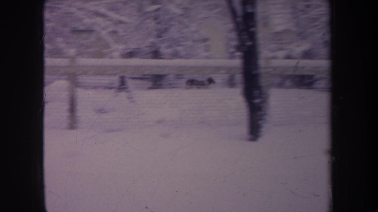 1968 Michigan 8mm frame showing a snowy backyard with trees, fence, dark framing, and a small dark dog shape in the distance.