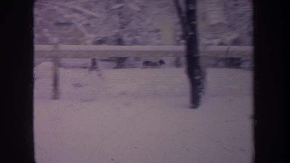 1968 Michigan 8mm frame showing a snowy backyard with trees, fence, dark framing, and a small dark dog shape in the distance.