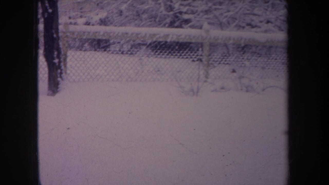 Snowy yard behind dark vertical framing, with fence and trees visible in soft focus.