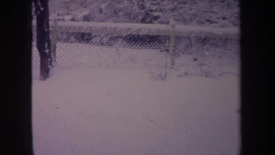 1968 Michigan 8mm frame of a snow-covered backyard, chain-link fence, and trees seen through dark vertical framing.