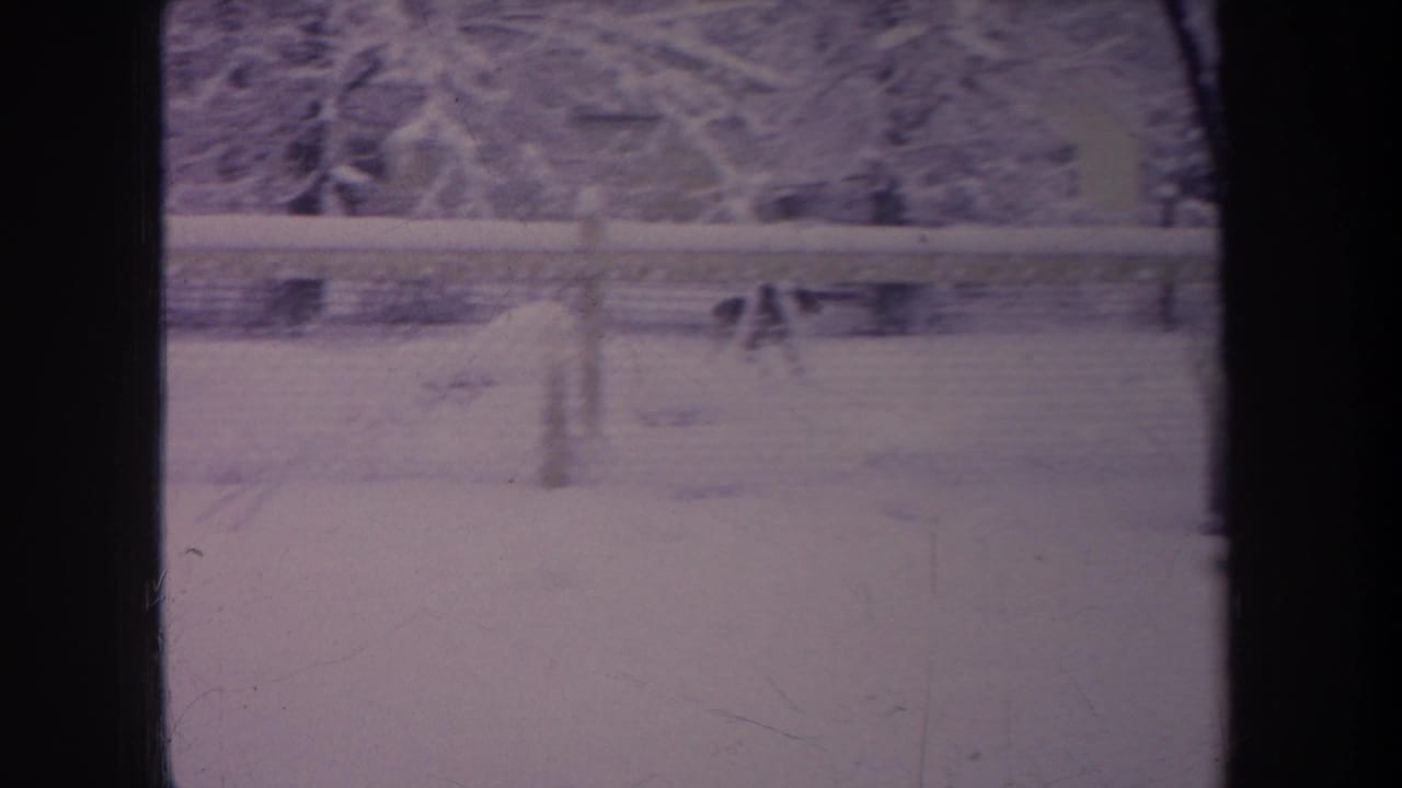 1968 Michigan 8mm frame of a snowy fenced backyard with a brown dog moving near the chain-link fence.