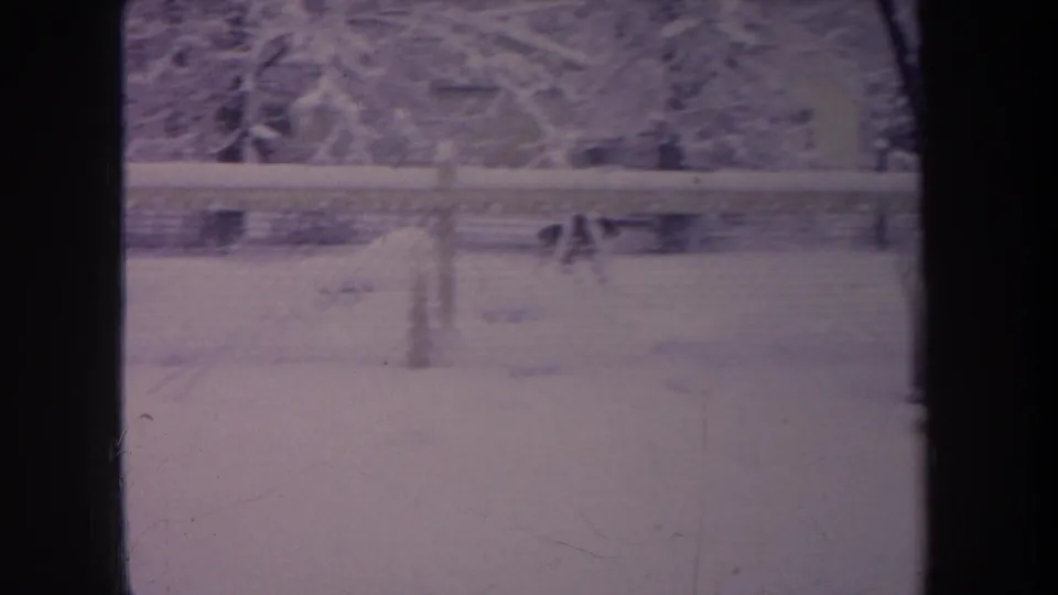 1968 Michigan 8mm frame of a snowy fenced backyard with a brown dog moving near the chain-link fence.