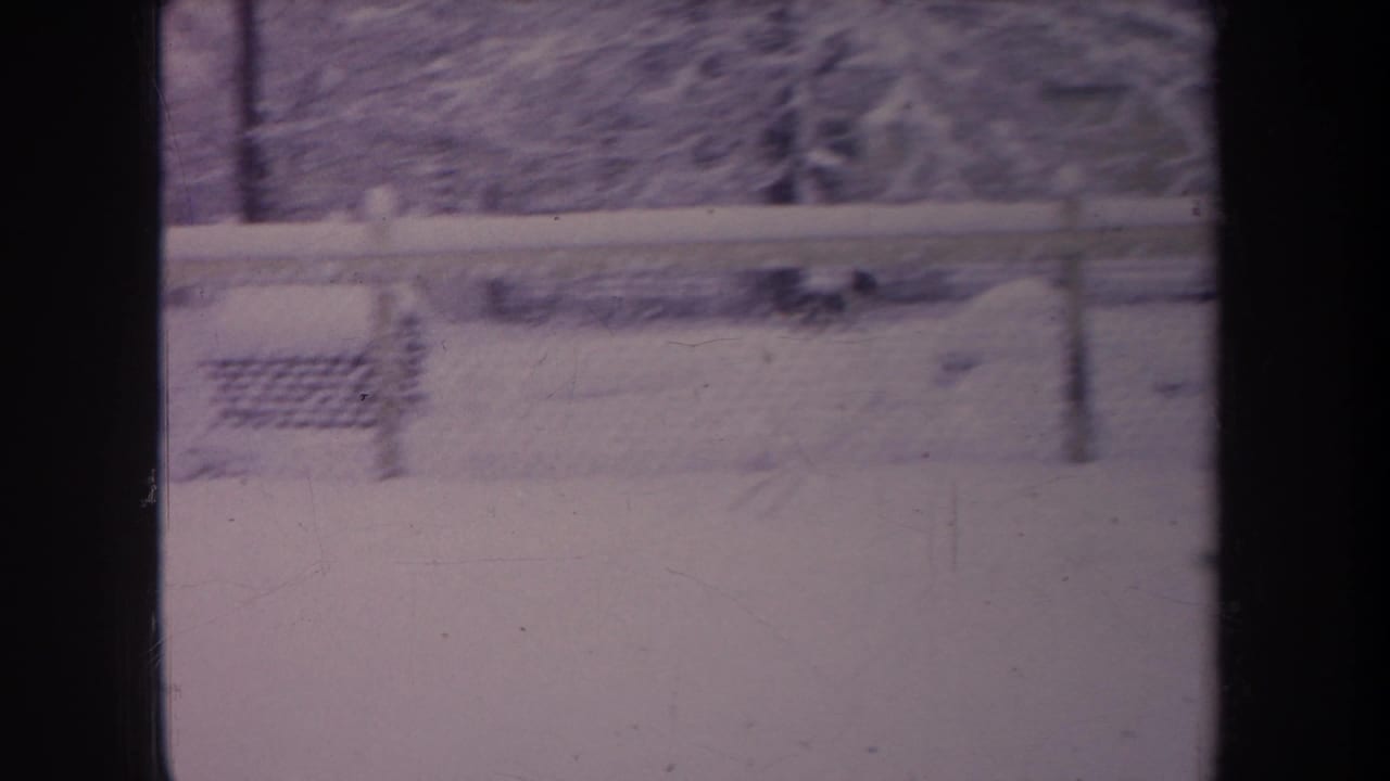 Snow-covered ground behind a chain-link fence and bare trees, viewed through dark window framing.