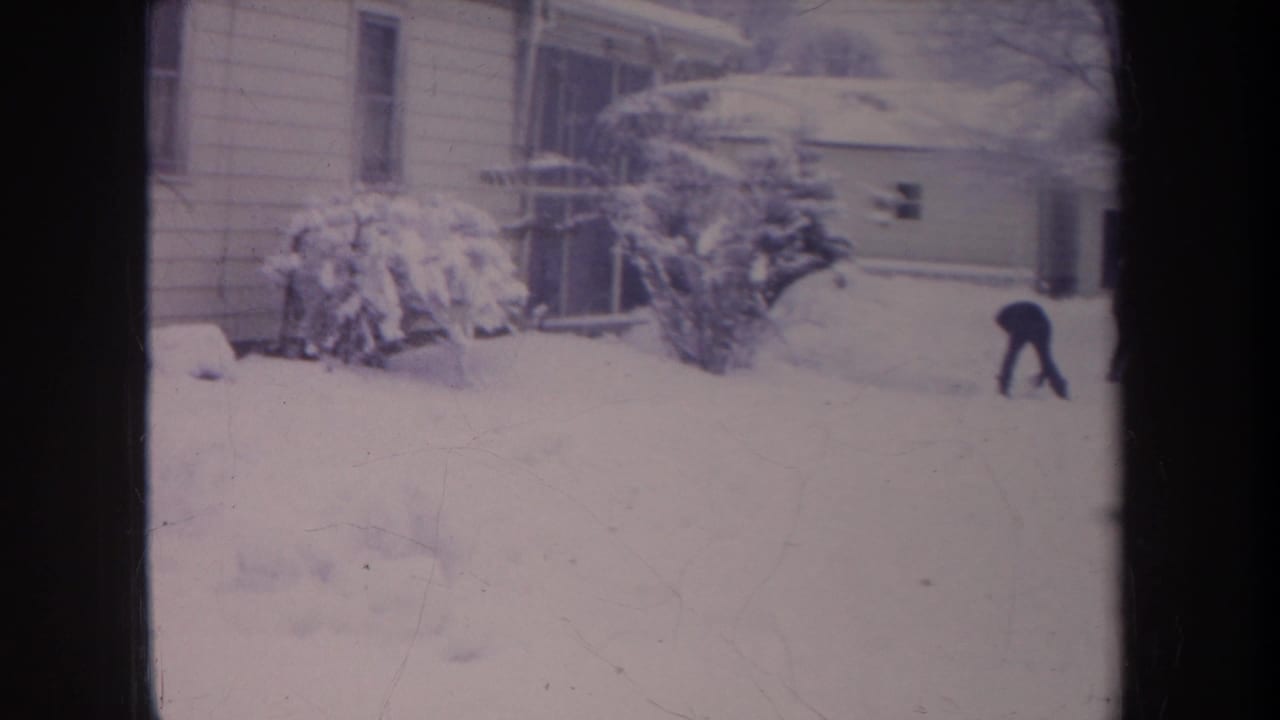 A distant bundled figure bends toward the snow in a residential Michigan yard, with house siding and snow-heavy bushes behind.