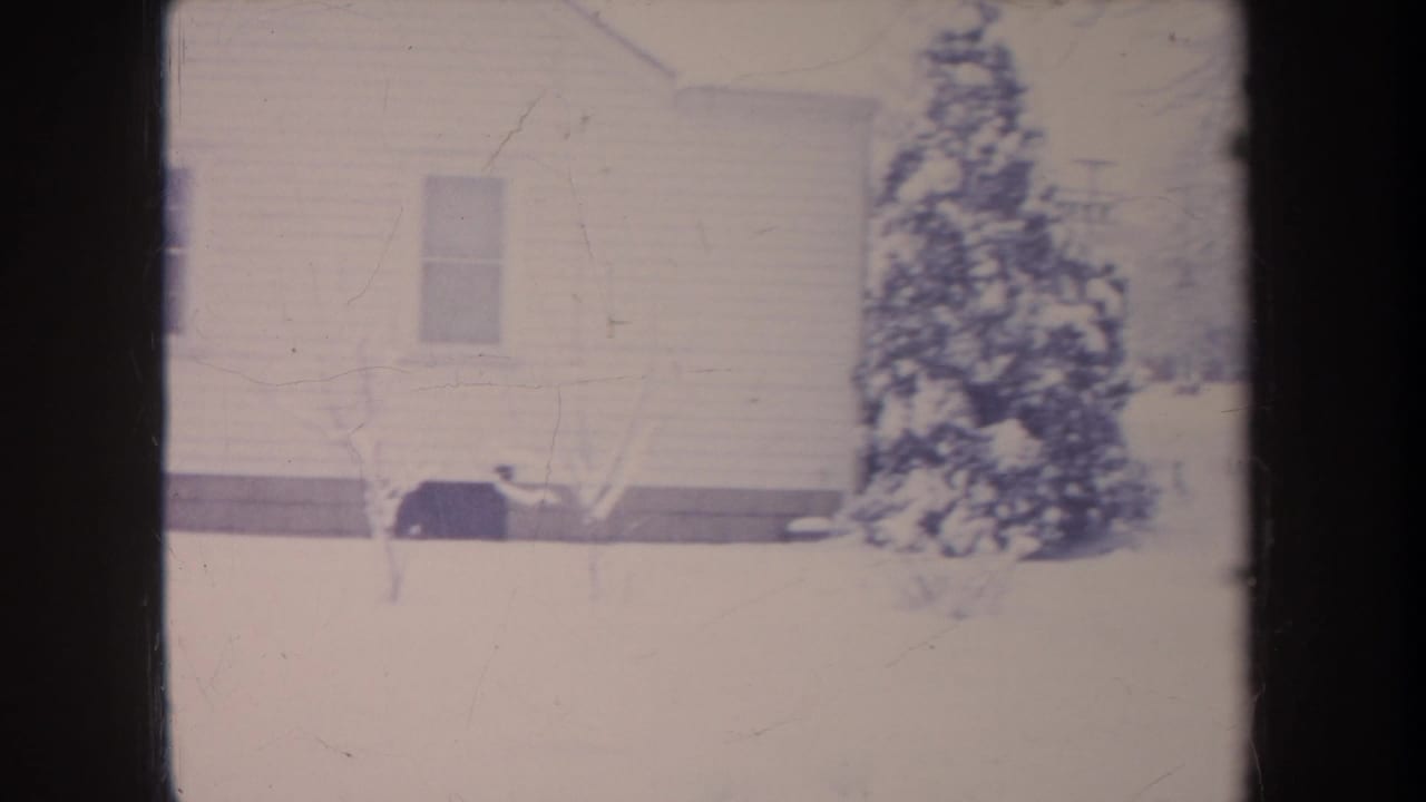 1968 Michigan 8mm frame showing the side of a white house, a snowy evergreen shrub, and a bare sapling in the yard.