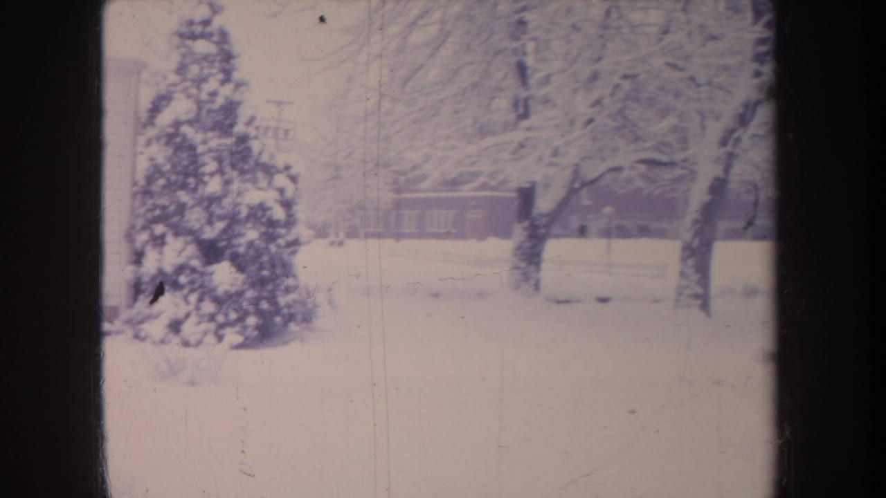 Snow-covered evergreen, bare trees, and a low building across a white winter lawn.