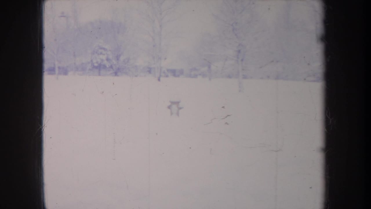 Snow-covered field with scattered bare trees under a pale winter sky.