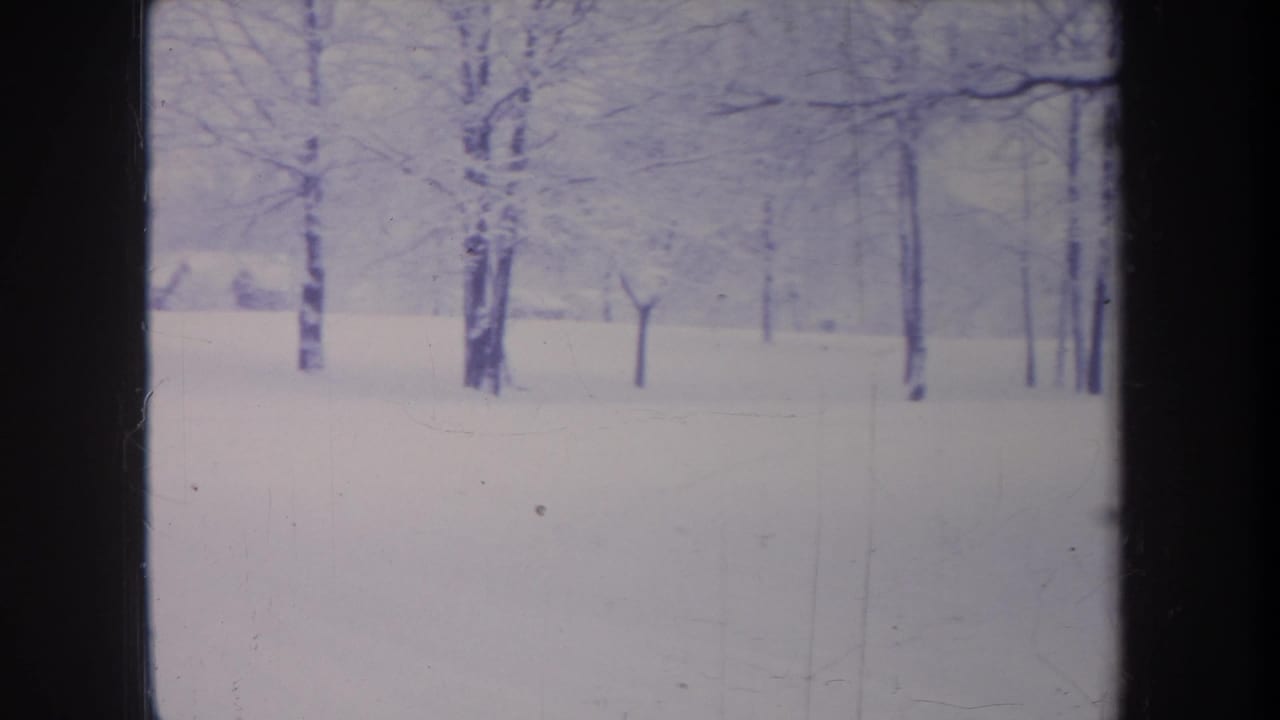 Snowy landscape with several bare trees and a dark film-frame edge.