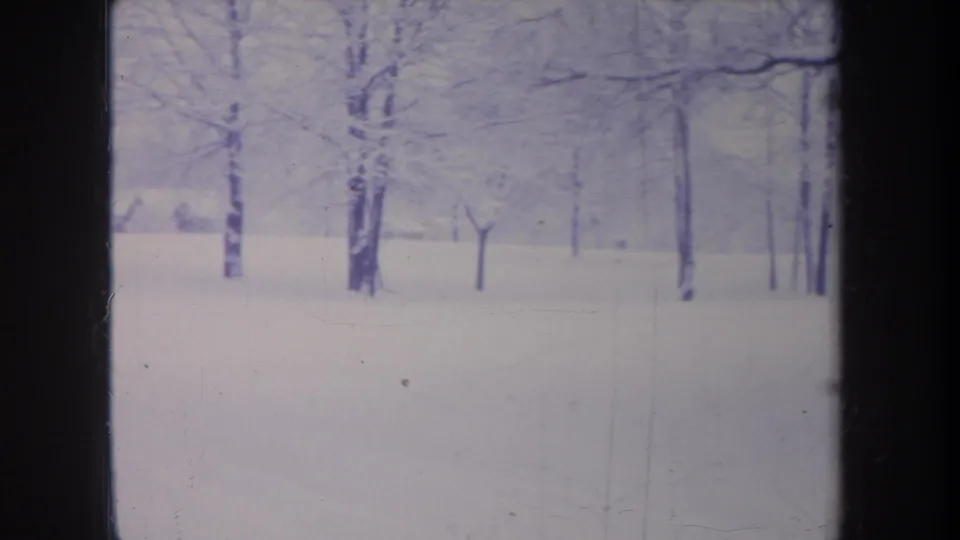 1968 Michigan winter scene with leafless trees across a snowfield, captured in a softly faded 8mm home-movie frame.