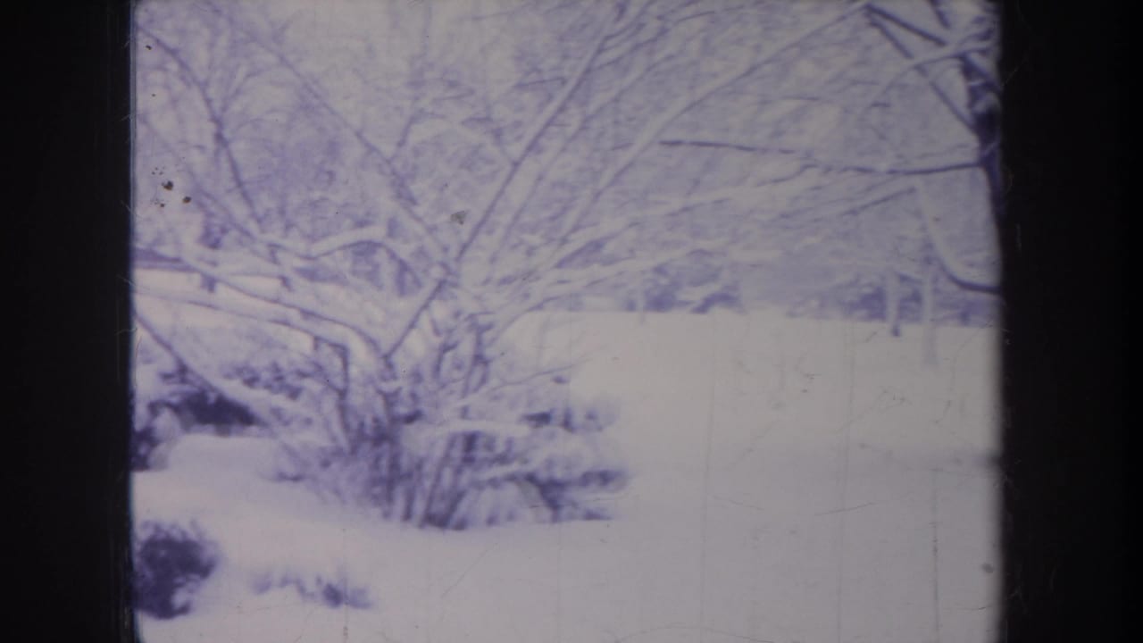 1968 Michigan 8mm frame showing snow-heavy branches and shrubs in a quiet residential winter landscape.
