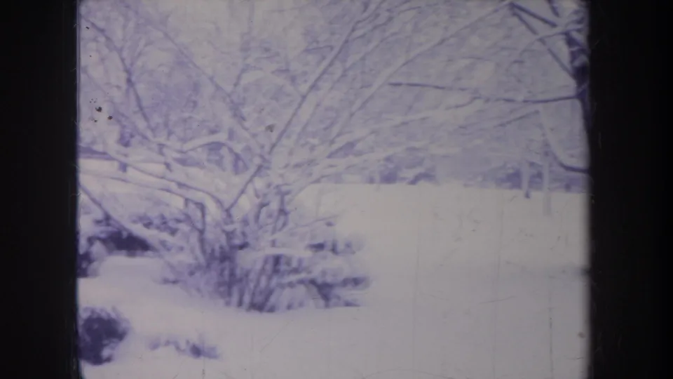 1968 Michigan 8mm frame showing snow-heavy branches and shrubs in a quiet residential winter landscape.