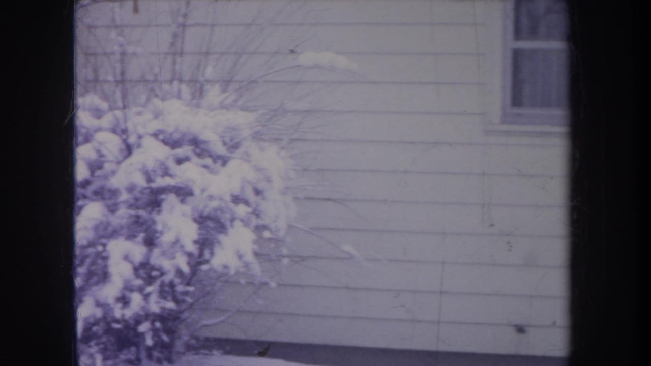 1968 Michigan winter frame showing a snow-covered shrub, bare branches, a small window, and white clapboard siding.