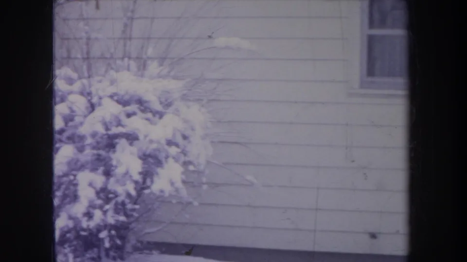 1968 Michigan winter frame showing a snow-covered shrub, bare branches, a small window, and white clapboard siding.