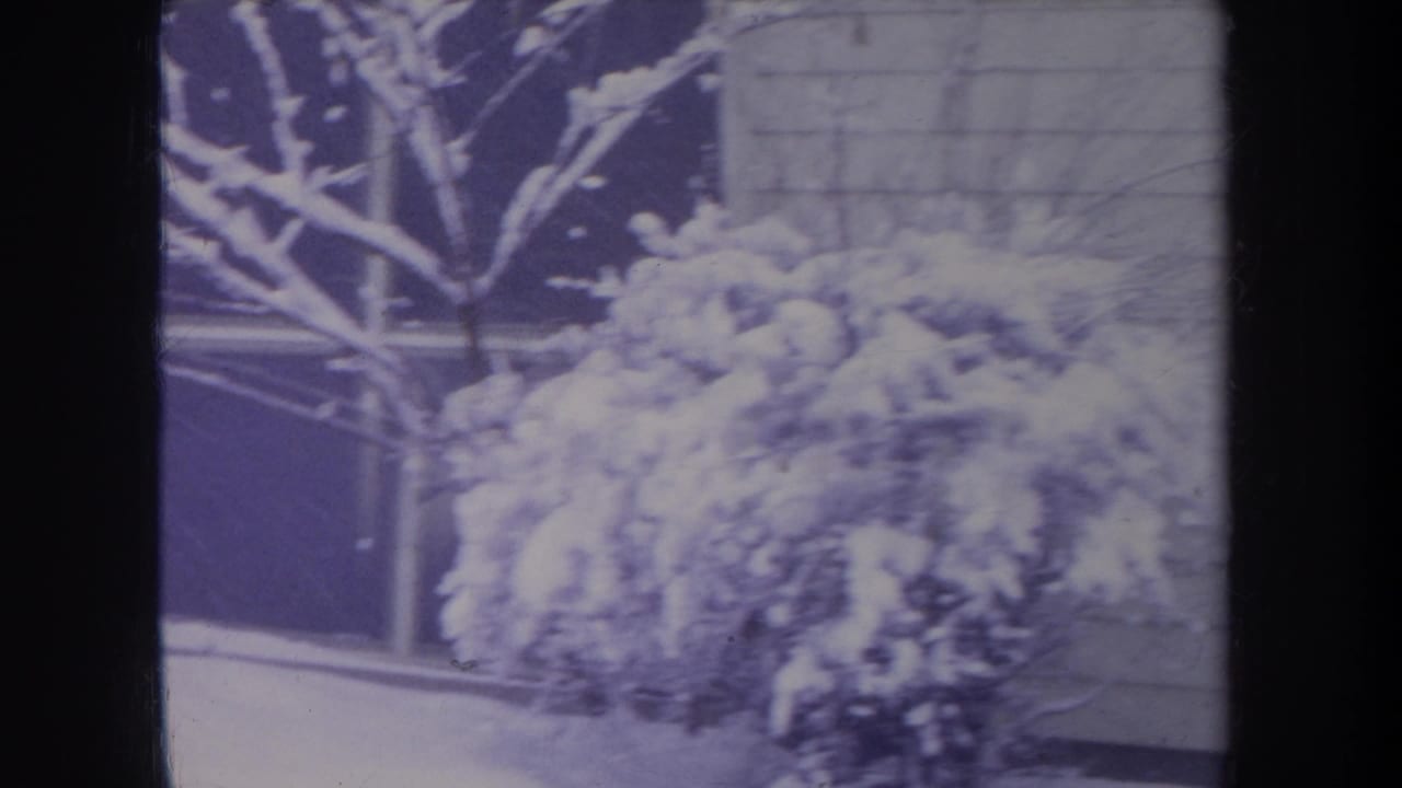 1968 Michigan 8mm frame showing snow on shrubs, tree branches, and the side of a residential building.