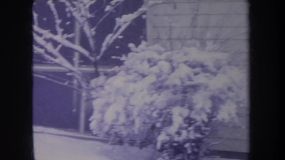 1968 Michigan 8mm frame showing snow on shrubs, tree branches, and the side of a residential building.